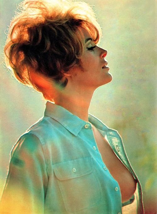 Jill St. John porn pictures