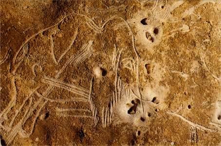 The Cave Of The Hundred MammothsThe Rouffignac cave is a cave located in the department of Dordogne 