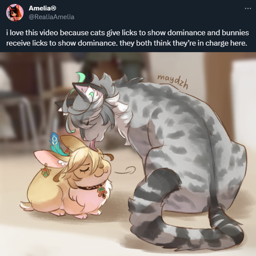 This Is Totally THEM 