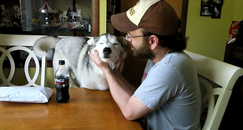 Snow Dogs Vlogs - HUSKY SMILES