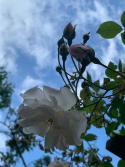 appreciateeverything-deactivate:19/06/21Worcestershire, UK