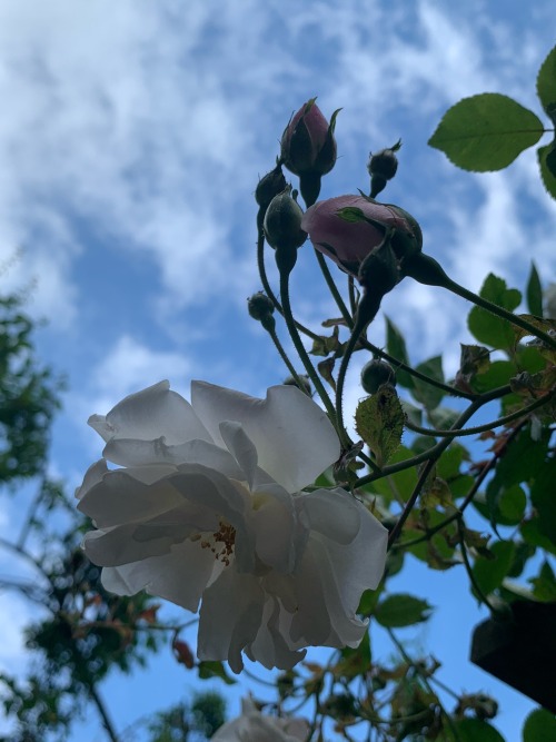 appreciateeverything-deactivate:19/06/21Worcestershire, UK