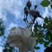 appreciateeverything-deactivate:19/06/21Worcestershire, UK