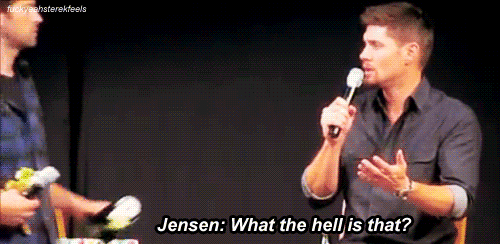 fuckyeahsterekfeels:  Misha gives Jensen a stuffed panda bear  