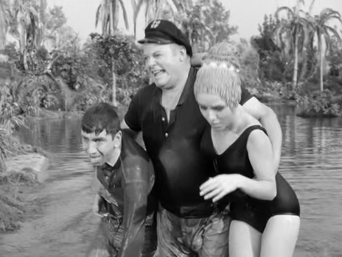 charliecgood:  First of a two-part post. Stills from Gilligan’s Island, which I watched some months ago (every last episode and the three made-for-TV movies that followed, a proud achievement for me). The Skipper’s bulge is ever present and so I thought
