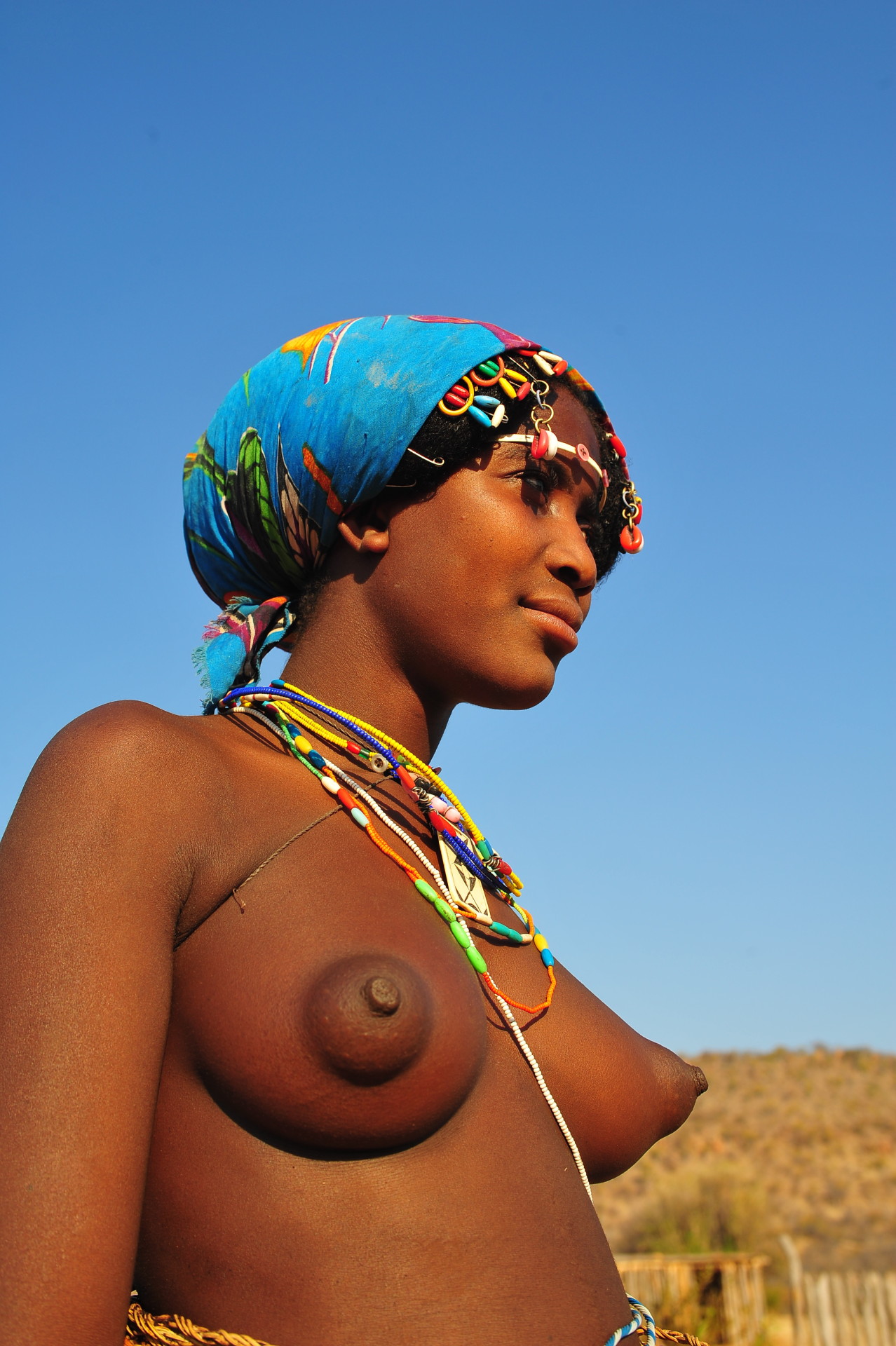 Huge, puffy tribal nipples.