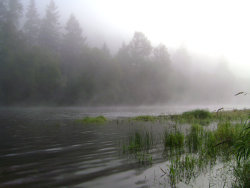 rasluka17:  Foggy River I by snoogaloo 