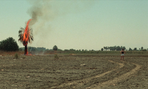 Queen of Diamonds (1991)Director & Cinematographer: Nina Menkes