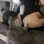 comingb4ck