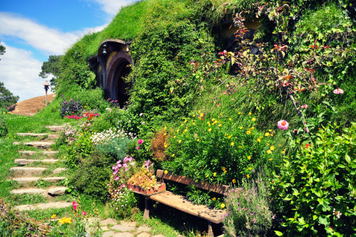 New Zealand Adventure: Hobbiton Did you know that there’s ranking in the Hobbit’s houses based where