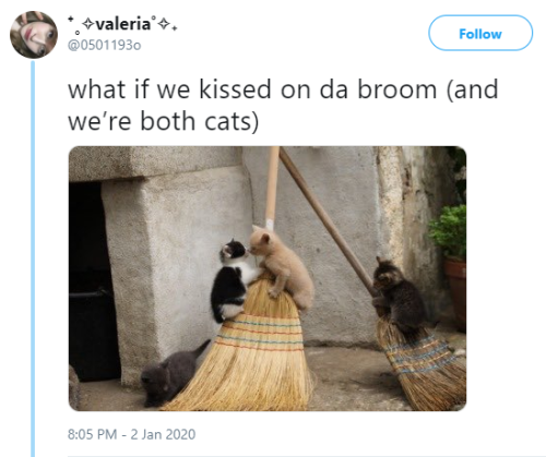 thefingerfuckingfemalefury:oikws:what if we kissed on da broom (and we’re both womem) Two lesbian witches familiars &lt;3 