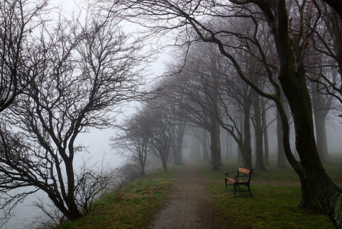 Fog over Nysted by jmennens on Flickr.