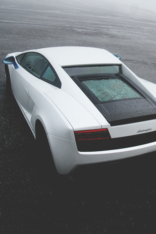 Envy Avenue.