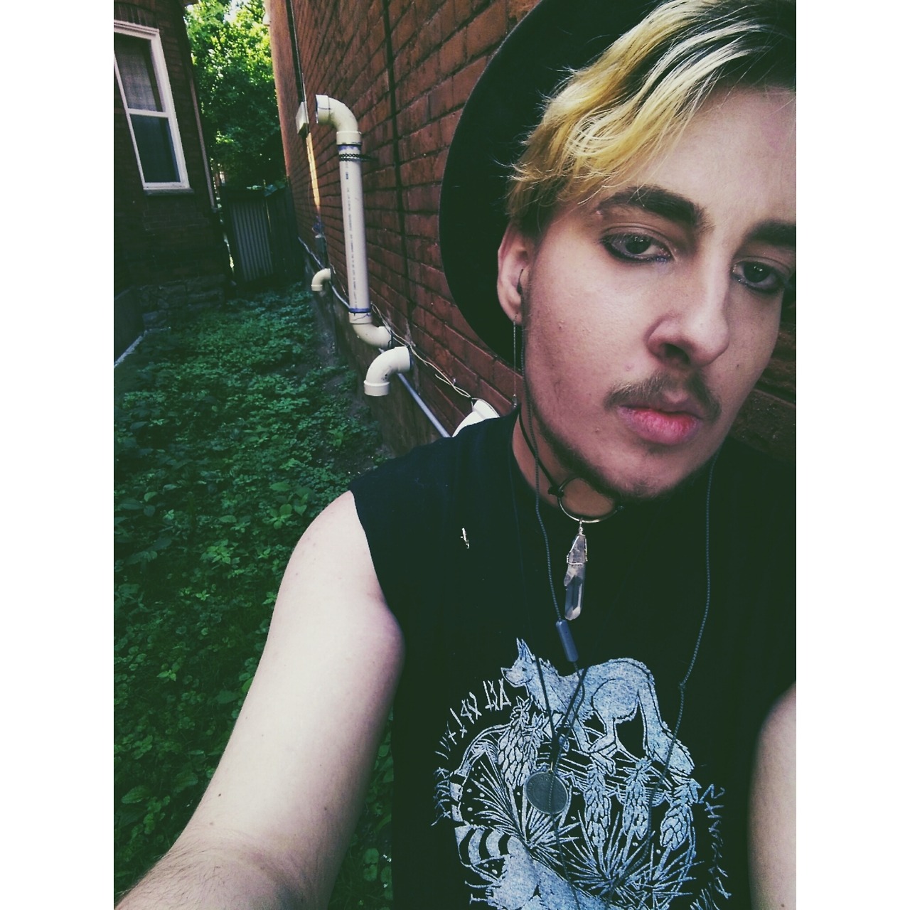 toadpiss:  🔪🔮🔪🔮🔪🔮🔪🔮🔪