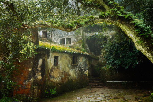 90377:The Monastery - Sintra, Portugal by James Mills jamesmillsphotography.com