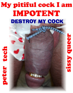 peter-tech-sissy-queer:  Sould a Sissy Queer be allowed to have a nice cock ??? … Or … Should it be constantly tortured and mutilated to where it is not useable except as a piss hole ???  It should be destroyed!!