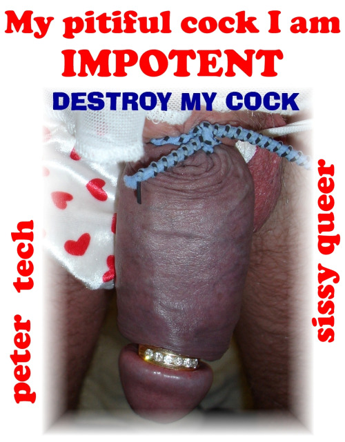 peter-tech-sissy-queer:  Sould a Sissy Queer be allowed to have a nice cock ??? … Or … Should it be constantly tortured and mutilated to where it is not useable except as a piss hole ???  It should be destroyed!!
