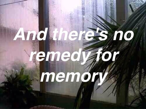 loveless