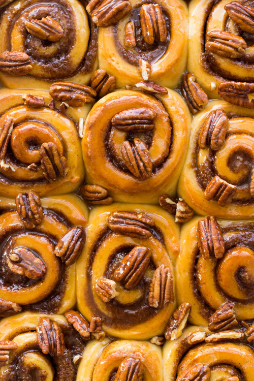 sweetoothgirl: Orange Honey Pecan Sticky Buns