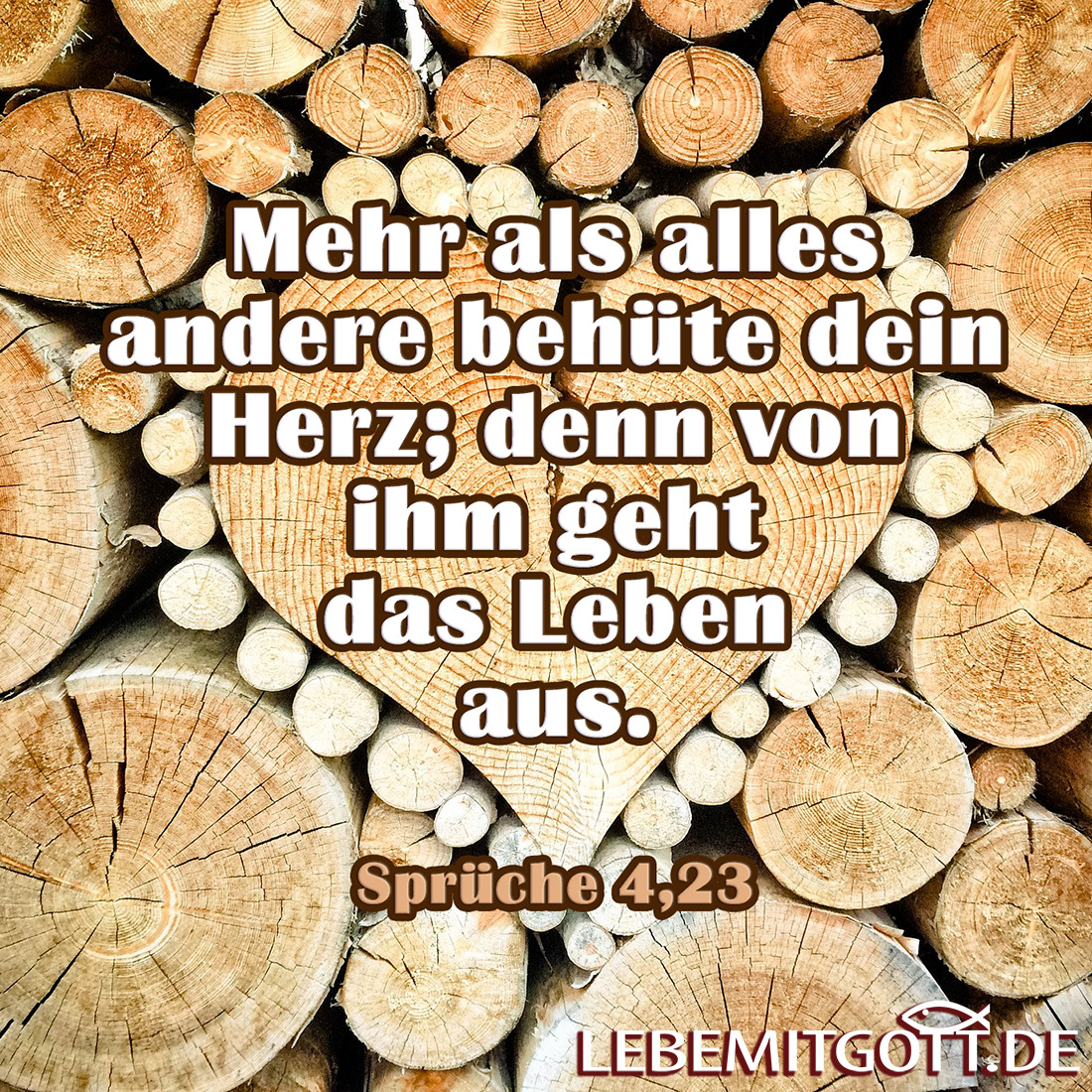 Lebe Mit Gott Behute Dein Herz Mehr Als Alles Andere Mehr Als