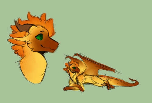 HI HI HAVENT POSTED WOF ART IN AGES!! Have A Colorpoint Sunny :D She Also Gets Freckles Bc I Like Them