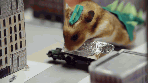huffingtonpost:  Tiny Hamster Is Back And This Time It’s A GIANT MONSTERCue Godzilla