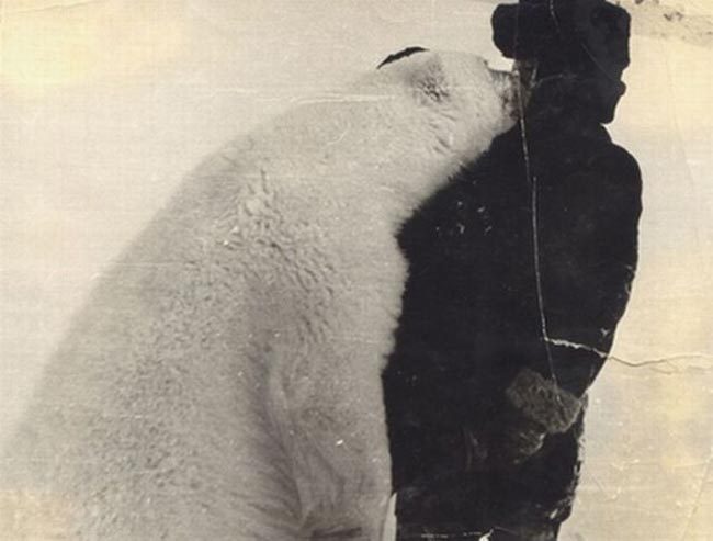 gunrunnerhell:  Comrade Polar Bear Russian scientists and military personnel feeding