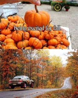 naturallyaspirated:  spiffynorthwest:  Pumpkin… SPICE! [e]  lel