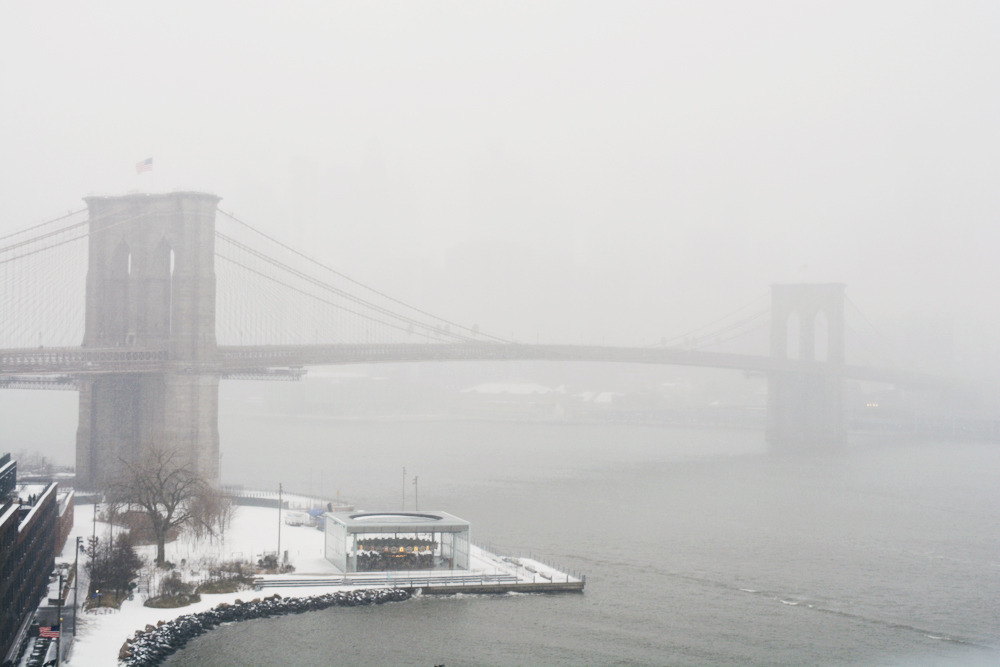 glorianas:  downtown manhattan and brooklyn, new york city, february 12th, 2019