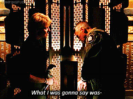 bethanyactually:  holdouttrout:  nandamai:  nellie-oleson:  dorothyoz39:  jumpingpuddles:  Stargate 