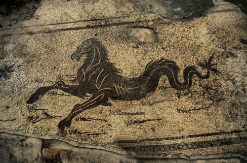 das-holzschiff:Ancient Roman mosaic, Larino, Italy