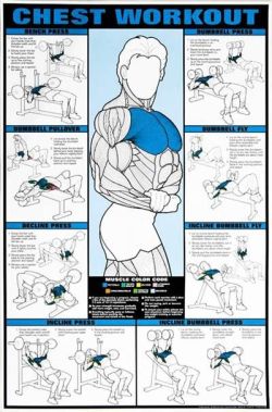 ahealthblog:  We lose muscle as we age strength training counteracts this muscle loss ➡ http://www.ahealthblog.com/strength-training-counteracts-muscular-atrophy-in-old-age.html