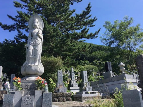 (Cemetery north/adjacent to) Hakodate Foreign CemeteryHakodate, Japan, August 2019