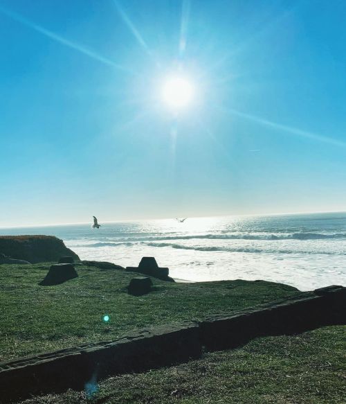 Heaven on earth 🌍 California coastline  (at Half Moon Bay State Beach) https://www.instagram.com/p/CKQO6T_LPGL/?igshid=1tuf9xa1bhukh