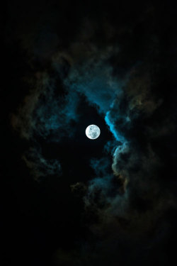 earthyday:  Wolf Moon  by Miguel Aviles