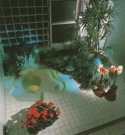 palmandlaser:  From Bath Design (1986)