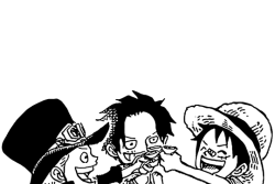 Zoro understands Luffy