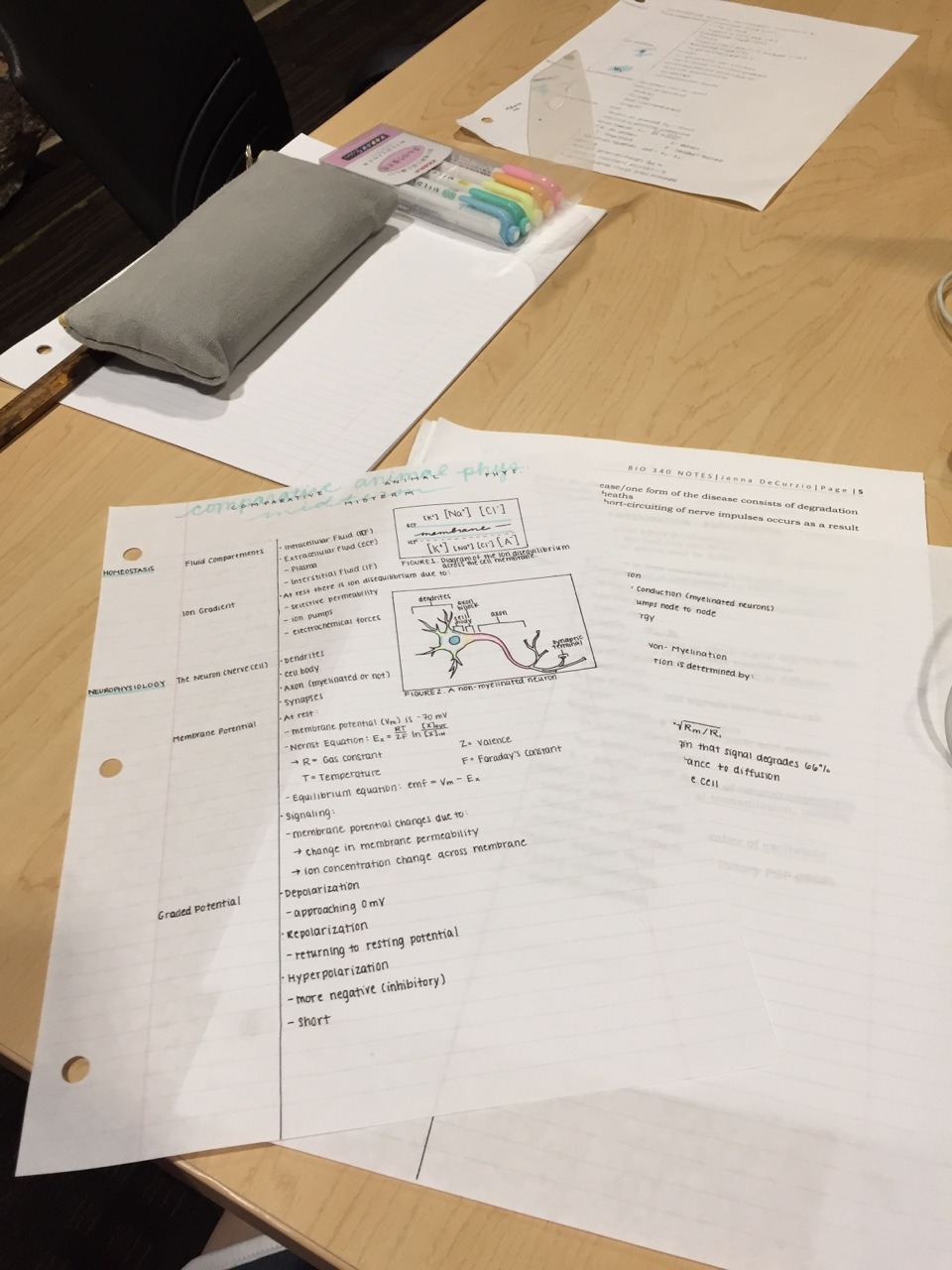 studyblr (PhD student) — creating a study guide for comparative animal...