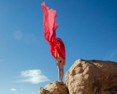 thephotoregistry:  Shawn Hanna   