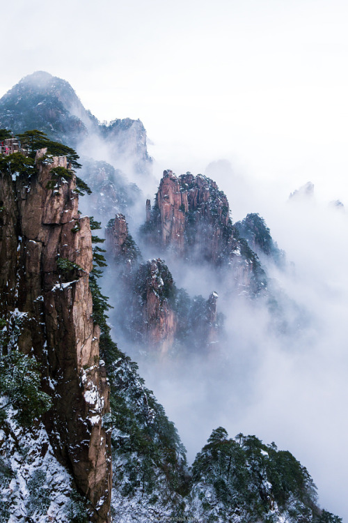 radivs:Sea Cloud at Huangshan by Tonnaja Anan Charoenkal