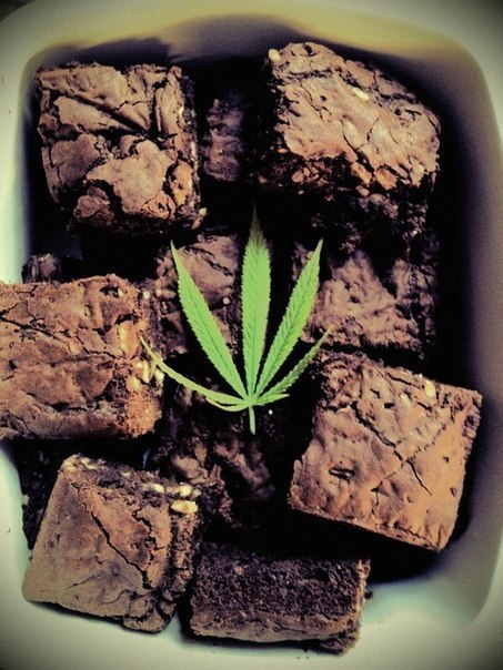 sugarkushh:  Dank 