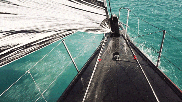 petschm66: animated_cinemagraphSailing Fastby Ann Street Studio1.11 MB