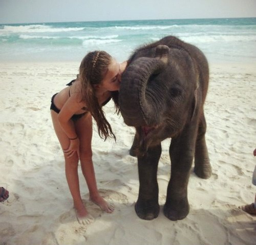teenagepics:  If you’re a teen you must follow this blog. 
