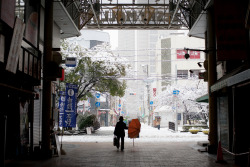 fluoric:  snow/okayama (by Nazra Z.) 