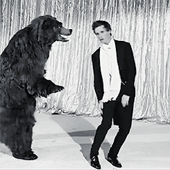 tibucourtois:Eddie Redmayne is the new Fred Astaire [x]