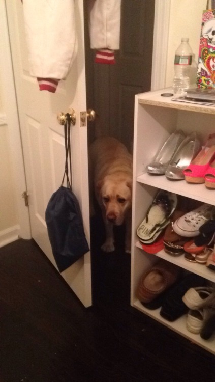taggedrne:  bubba doesn’t know how to walk through halfway opened doors and accepted his defeat