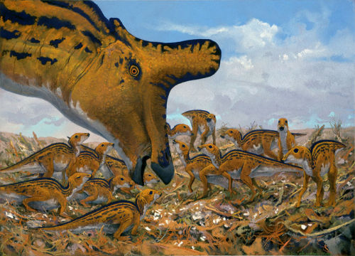 dryptosaurus:Lambeosaurus by Doug Henderson