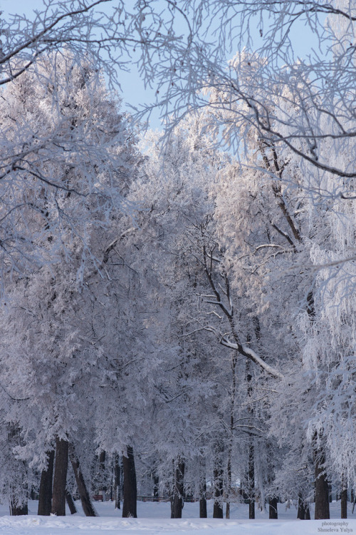 Русская зима / Russian Winter