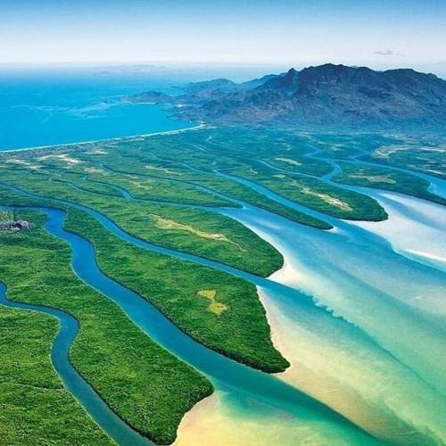 oceaniatropics:orpheus island, queensland, australia