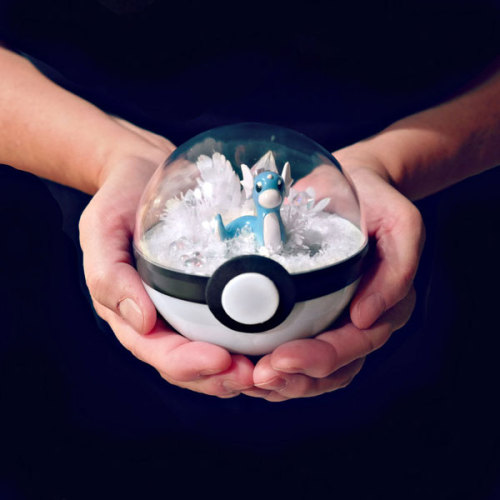 pxlbyte: Poké Ball Terrariums I wasn’t even aware that this was a thing, but you can apparently buy